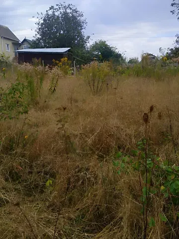 Продажа земельного участка  площадь 5.7 сот Незалежності вулиця  - изображение 9