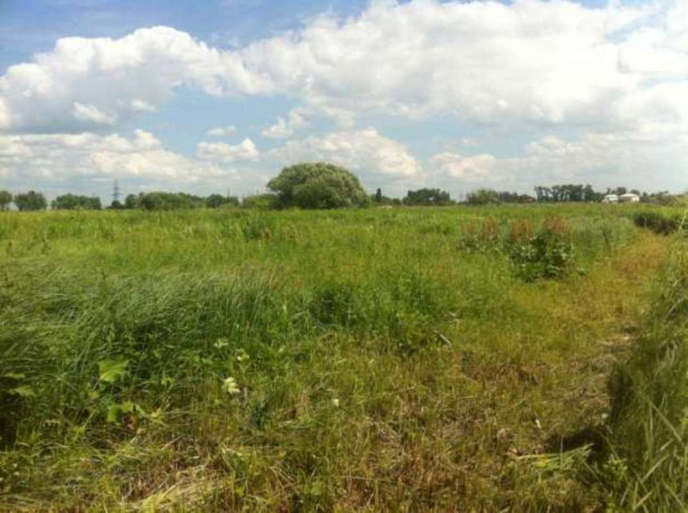 Продаж земельної ділянки 10 соток на Галицкая 30 Бориспіль - фото 3