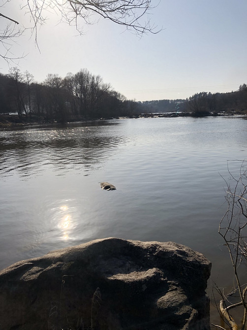 Продаж земельної ділянки 20 соток  - фото 1