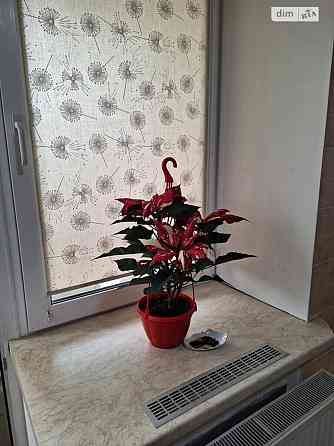 Продаж Квартира 1-кімнатна, 1/5 поверх на Миколаївська Вінниця