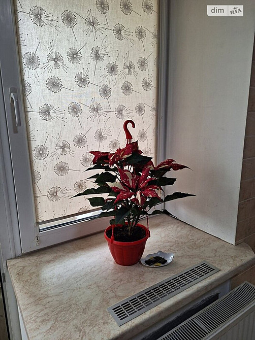 Продаж Квартира 1-кімнатна, 1/5 поверх на Миколаївська Вінниця - фото 1