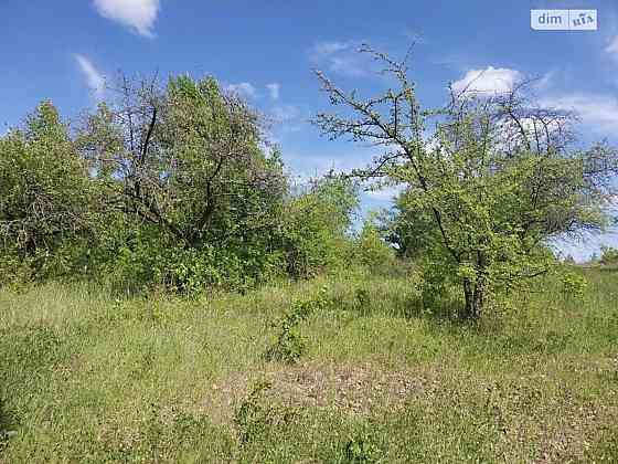 Продаж земельної ділянки 2 соток Липовец