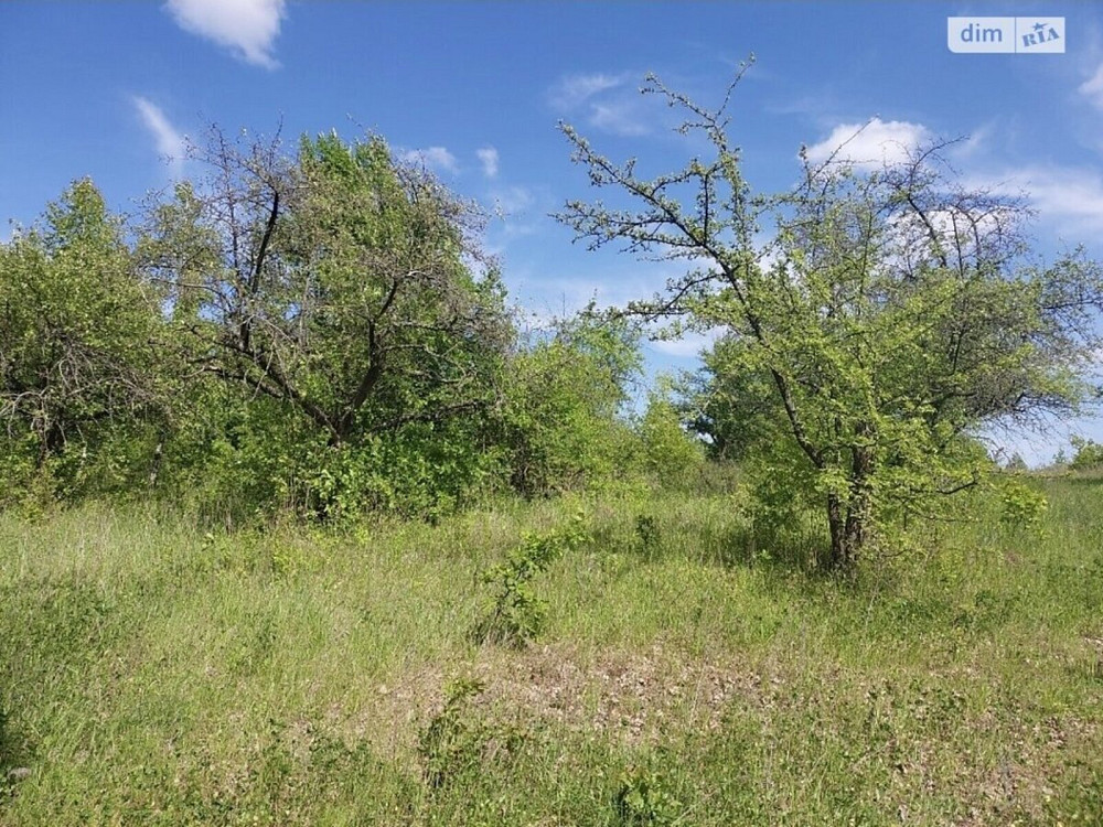 Продаж земельної ділянки 2 соток Липовець - фото 2