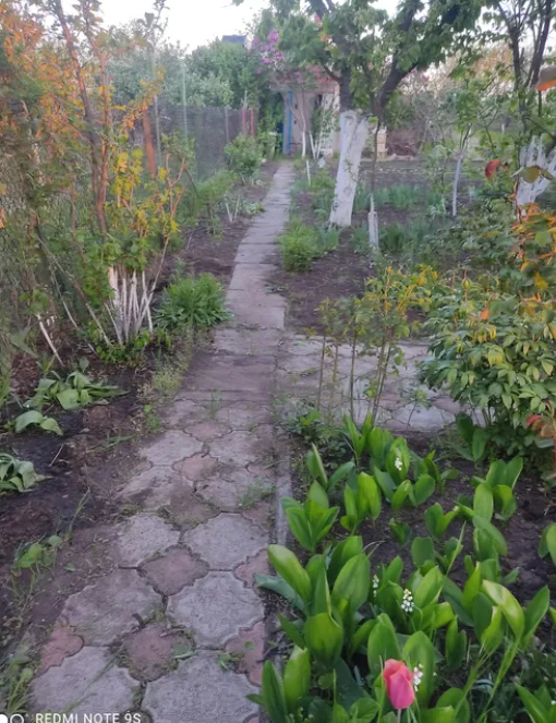 Дом в Алтестово, рядом лес и лиман. Алтестове - фото 8