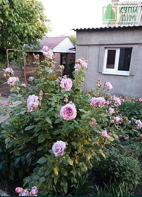 Продається сучасний будинок в с. Клинці Кропивницький - фото 18