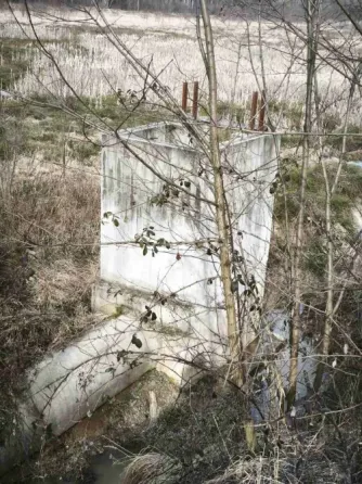 Продаж земельної ділянки Для сільськогосподарської діяльності площа 1191 сот Польова Середнє