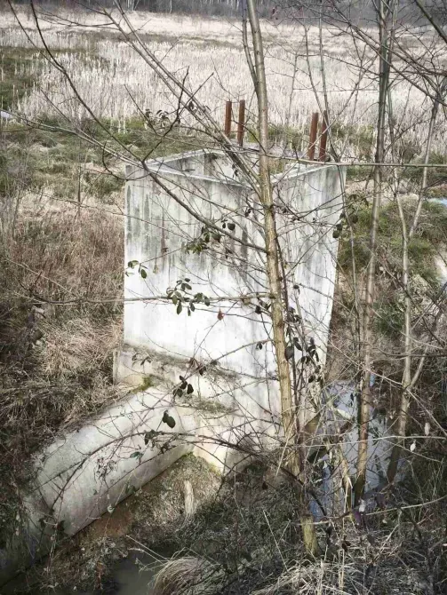 Продаж земельної ділянки Для сільськогосподарської діяльності площа 1191 сот Польова Середнє - фото 5