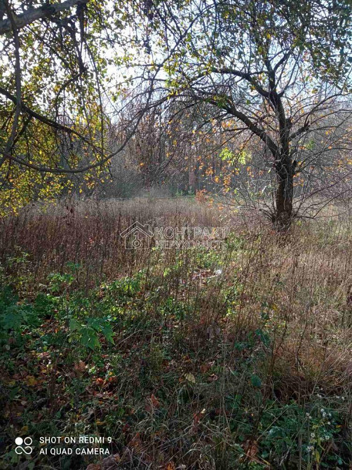 Продаж Будинок 3-кімнатний на вул. в'їзд Лісний Новая Водолага - изображение 7