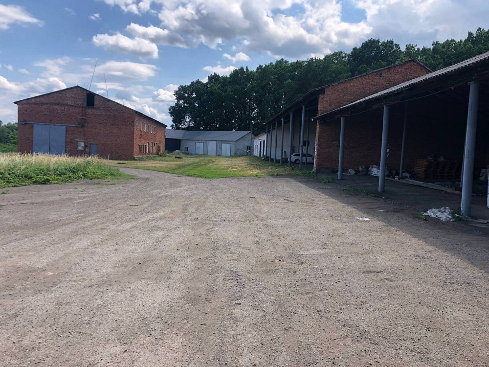 Продаж приміщення вільного призначення поверх - 1/2 Velykyi Kliuchiv - photo 5