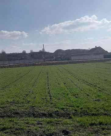 Продаж земельної ділянки 25 соток на вул. Івана Франка Голишів