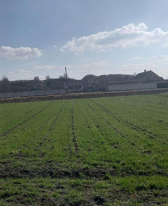 Продаж земельної ділянки 25 соток на вул. Івана Франка Голишів - фото 1