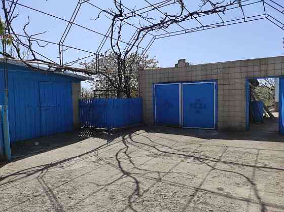 Продам дом село Троицкое Беляевский район Одесская область Новотроїцьке (Любашівський район)