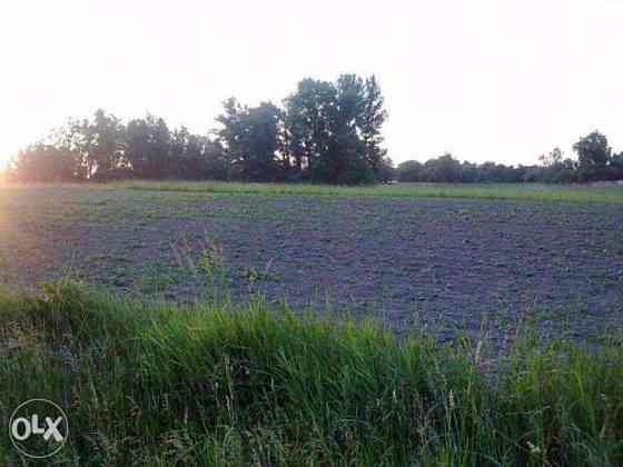 Продаж земельної ділянки 24 соток на Полевая Бориспіль