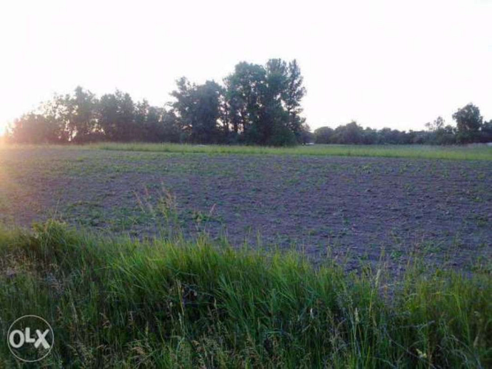 Продаж земельної ділянки 24 соток на Полевая Бориспіль - фото 1