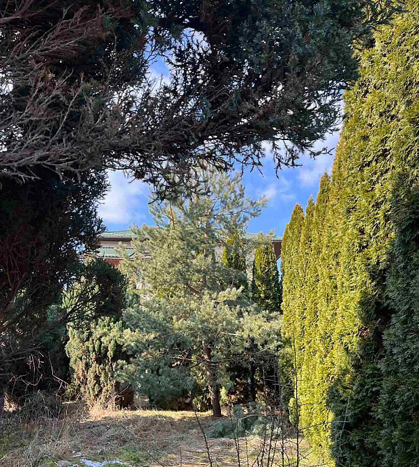 Продаж 3-поверховий Будинок з ділянкою 11 сот 374 кв.м 4 кімн. на Шевченка вул. Малечковичи - изображение 13