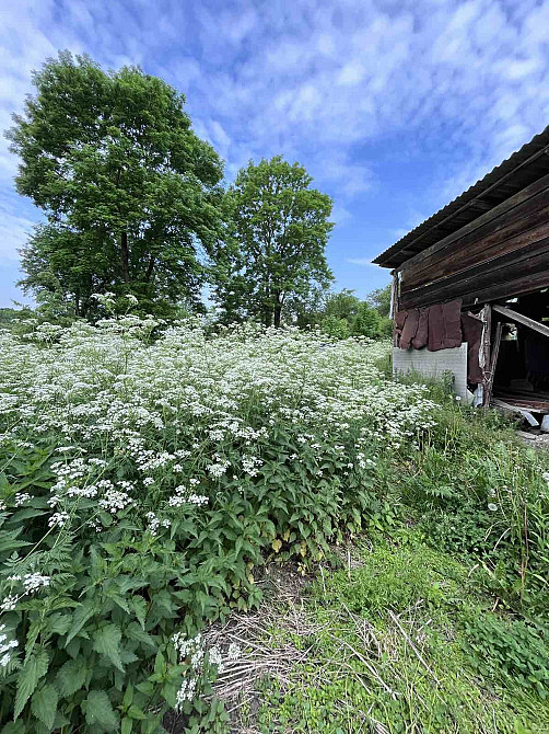 Продаж Будинок на Коцюбинського, 70 Тязів - фото 8