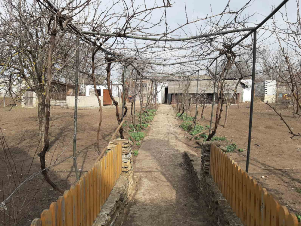 Продам капітальний будинок в селищі Радісне Одеської області Радісне - фото 6