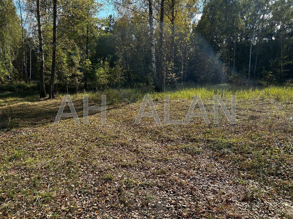 Продаж земельної ділянки 12 га на вул. Сонячна Завалівка - фото 9