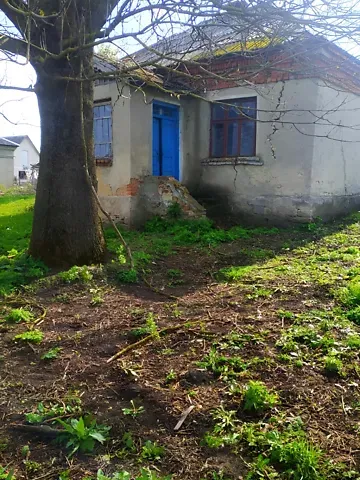 For sale land plot  area 38 ares Миру вулиця  - photo 3