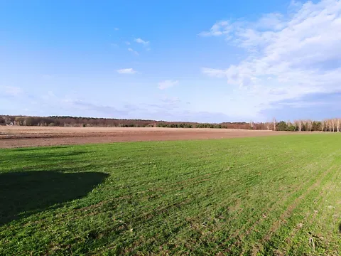 Продаж земельної ділянки Для будівництва приватного житлового будинку площа 1350 сот с. Гаразджа Луцьк - фото 2