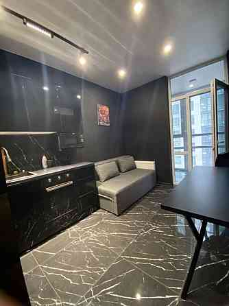 Оренда Квартира 1-кімнатна, 14/25 поверх на Гулака, 4 Kiev