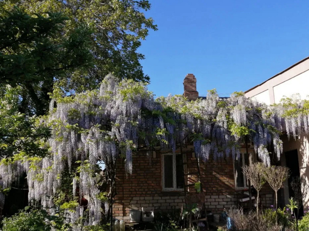 Продається будинок з ексклюзивною земельною ділянкою в центрі міста. Кропивницький - фото 2