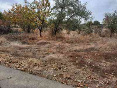 Продаж земельної ділянки 6.23 соток на ул. Рекордная (СТ Межлиманье ), 830 Протопопівка