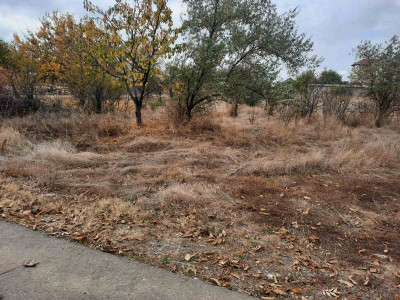 Продаж земельної ділянки 0.1 соток на ул. Рекордная (СТ Межлиманье ), 830 Протопопівка - фото 3