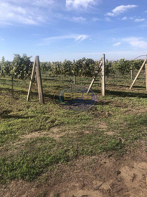 Продаж земельної ділянки 7.72 га на вул. 1 Овідіополь - фото 2