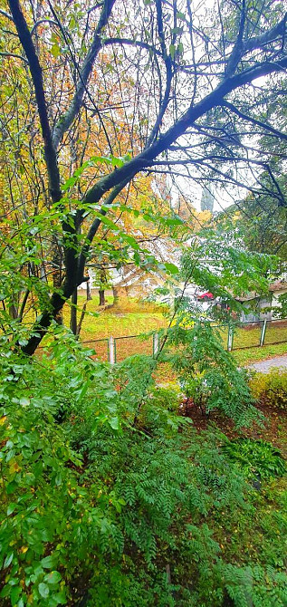 Оренда Квартира 1-кімнатна, 2/5 поверх на Академіка Білецького, 9б Киев - изображение 10