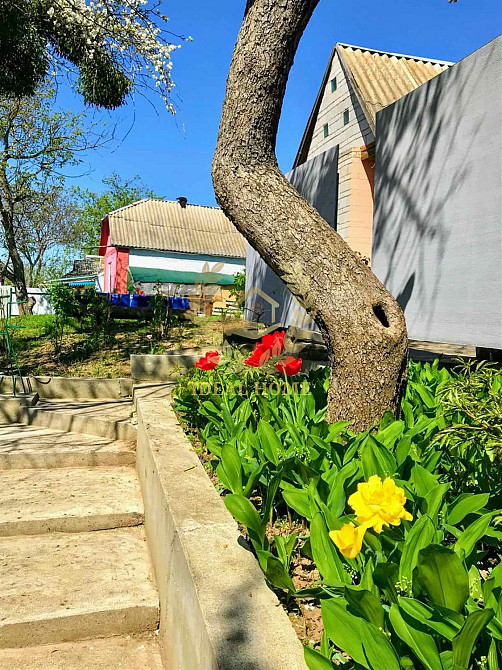 Продаж Будинок 2-кімнатний на Адмирала Петренко ул., 54 Ржищів - фото 15