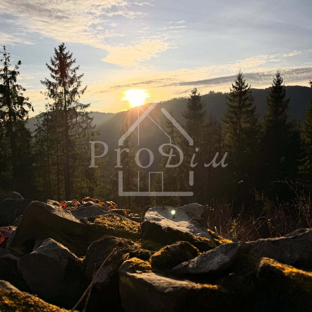 Продаж земельної ділянки 80 соток на Довга Верхній Ясенів - фото 1