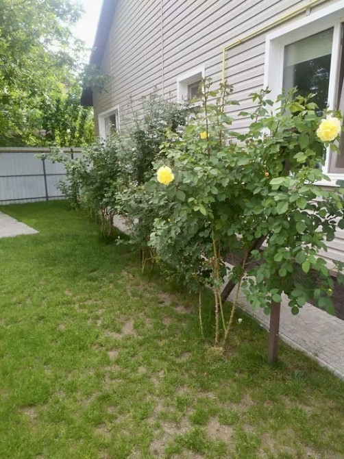 Продаж Будинок на вул. Земна Одеса - фото 14