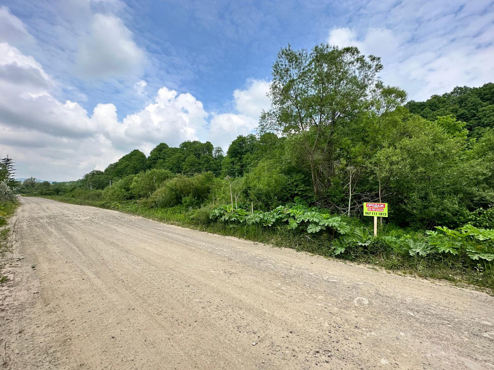 Продаж земельної ділянки 10 соток на вул. Стрийська Верхне Синьовидне - изображение 2