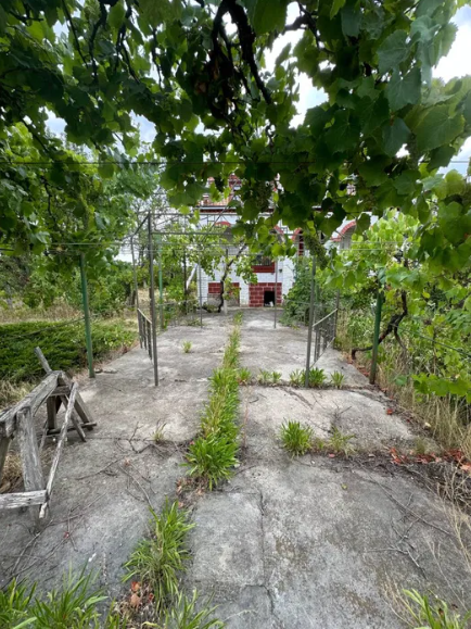 Продам 2-х этажный дом со всеми удобствами возле Тилигульского лимана (с.Пшеняново, 50 км от Одессы) Пшонянове - фото 20