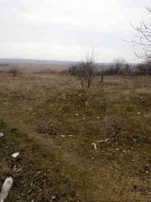 Продаж земельної ділянки 0.1 соток на ул. Уютная, 81 Новая Долина