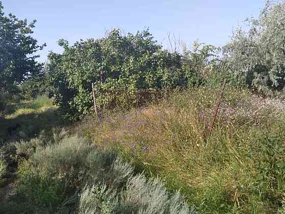 Продаж земельної ділянки 0.1 соток на массив Елизаветинский (массив кооп Актер), 22 Yehorivka