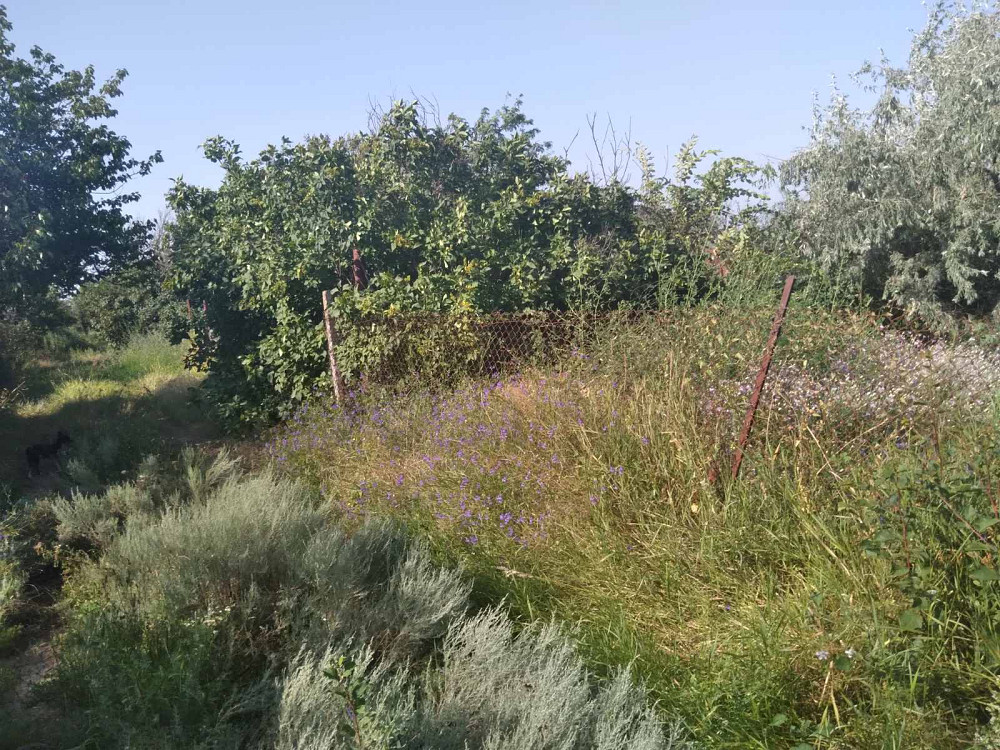 Продаж земельної ділянки 0.1 соток на массив Елизаветинский (массив кооп Актер), 22 Yehorivka - photo 3