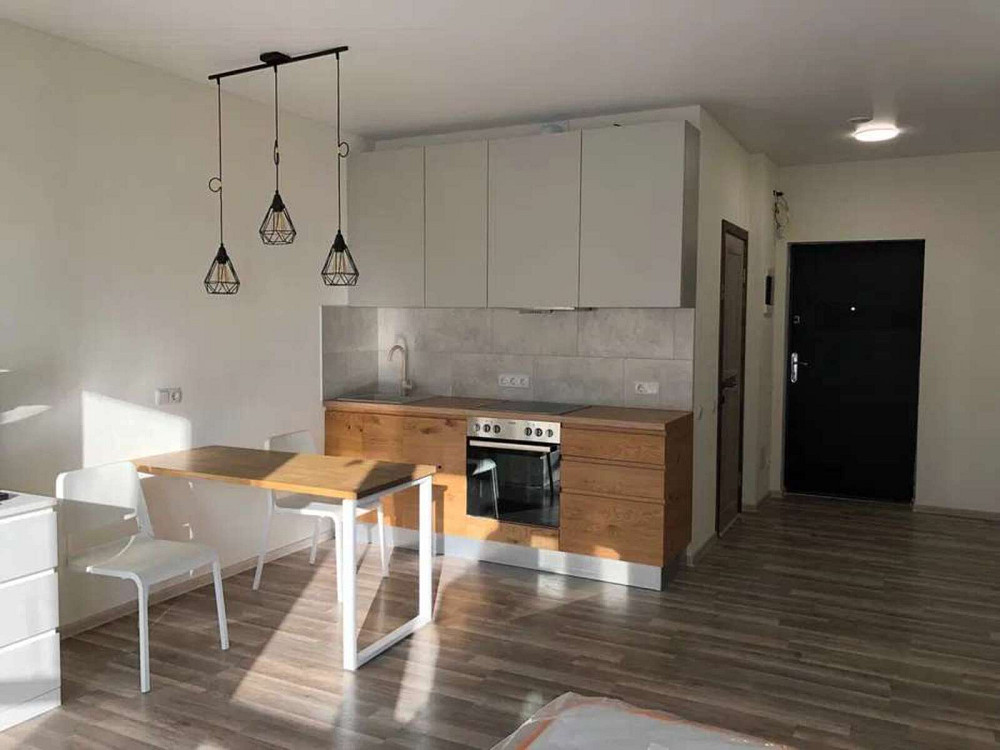 Оренда Квартира 1-кімнатна, 16/25 поверх на Олени Пчілки, 7 Киев - изображение 5