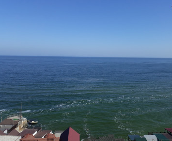 Продаж земельної ділянки 0.3 соток на ул. Дача Ковалевского, 111/2б Odessa - photo 3