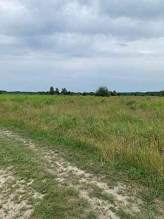 Продаж земельної ділянки 13 соток на Олиевка Житомир