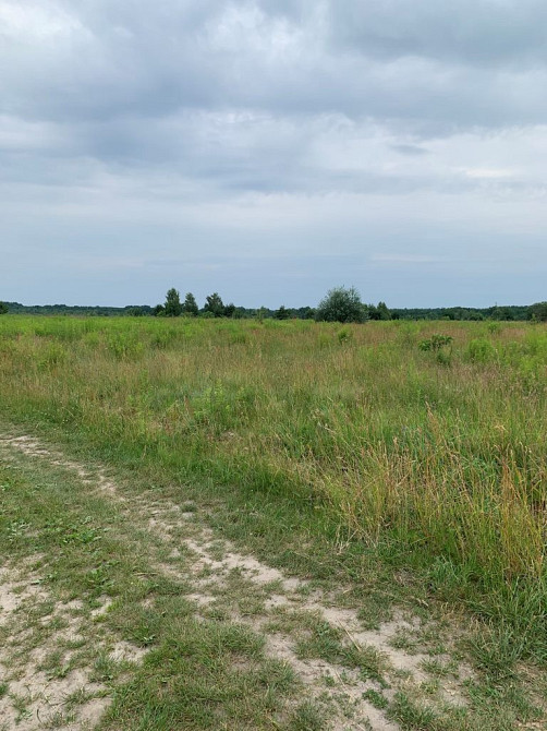 Продаж земельної ділянки 13 соток на Олиевка Житомир - фото 2