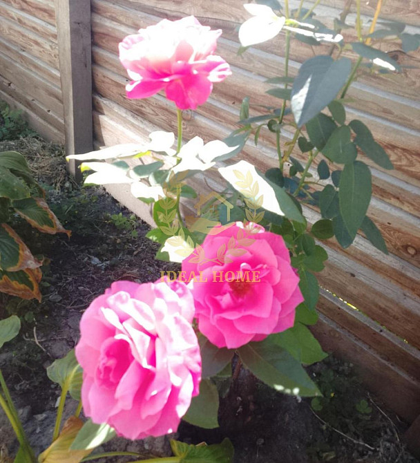 Продам будинок в Плесецькому!  - фото 15