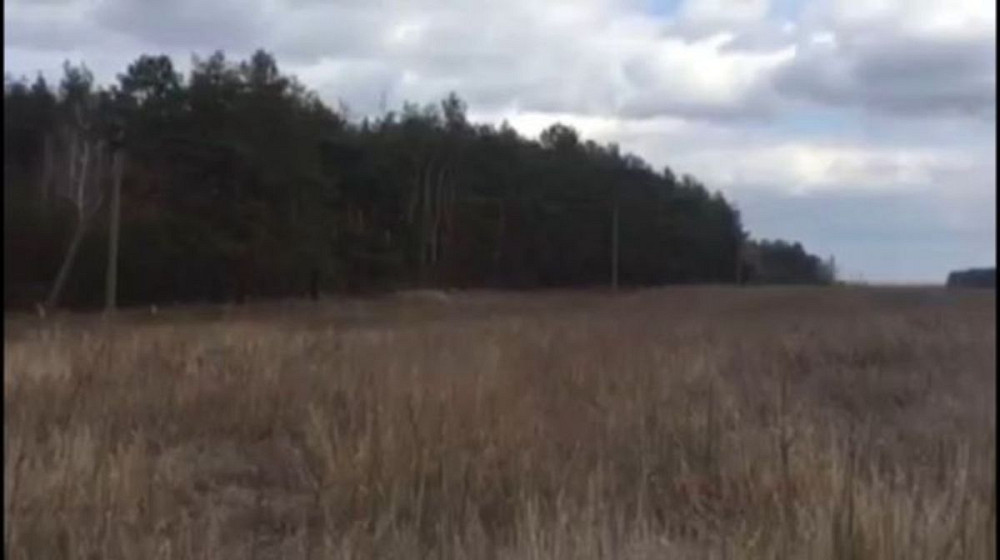 Продаж земельної ділянки 3 га  - фото 3