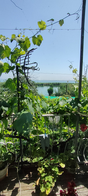 Дом на берегу лимана Nerubaiske - photo 12