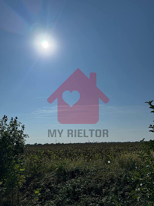 Продаж земельної ділянки 19.5 га Rozivka - photo 3