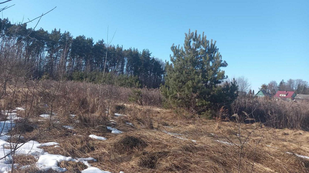 Продаж земельної ділянки 21 соток Клевань - фото 1