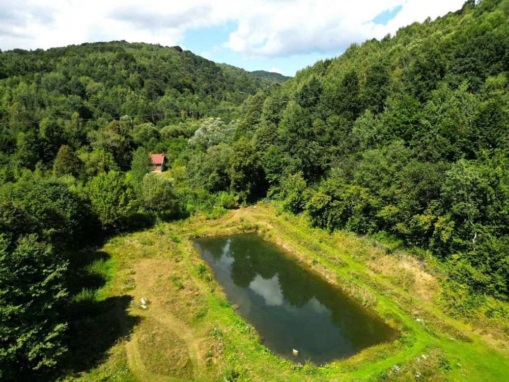 Продаж земельної ділянки 44 соток Верхне Синьовидне - изображение 2