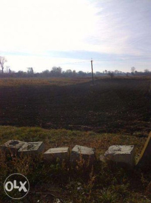 Продаж земельної ділянки 25 соток на Щорса  - фото 3