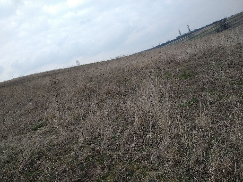 Продаж земельної ділянки 10 соток Bibrka - photo 3